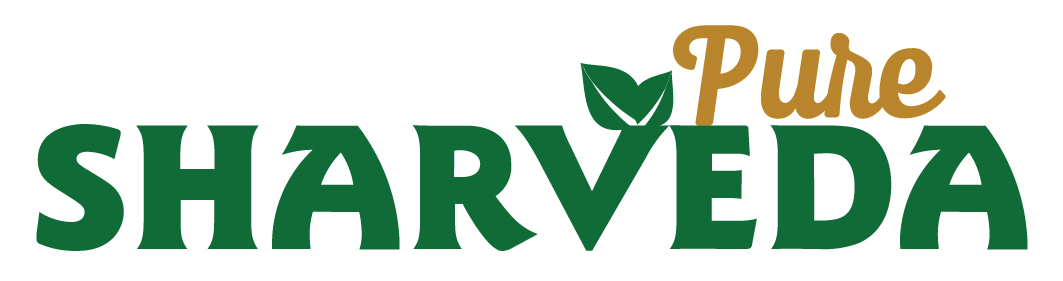 mix dry fruit powder logo